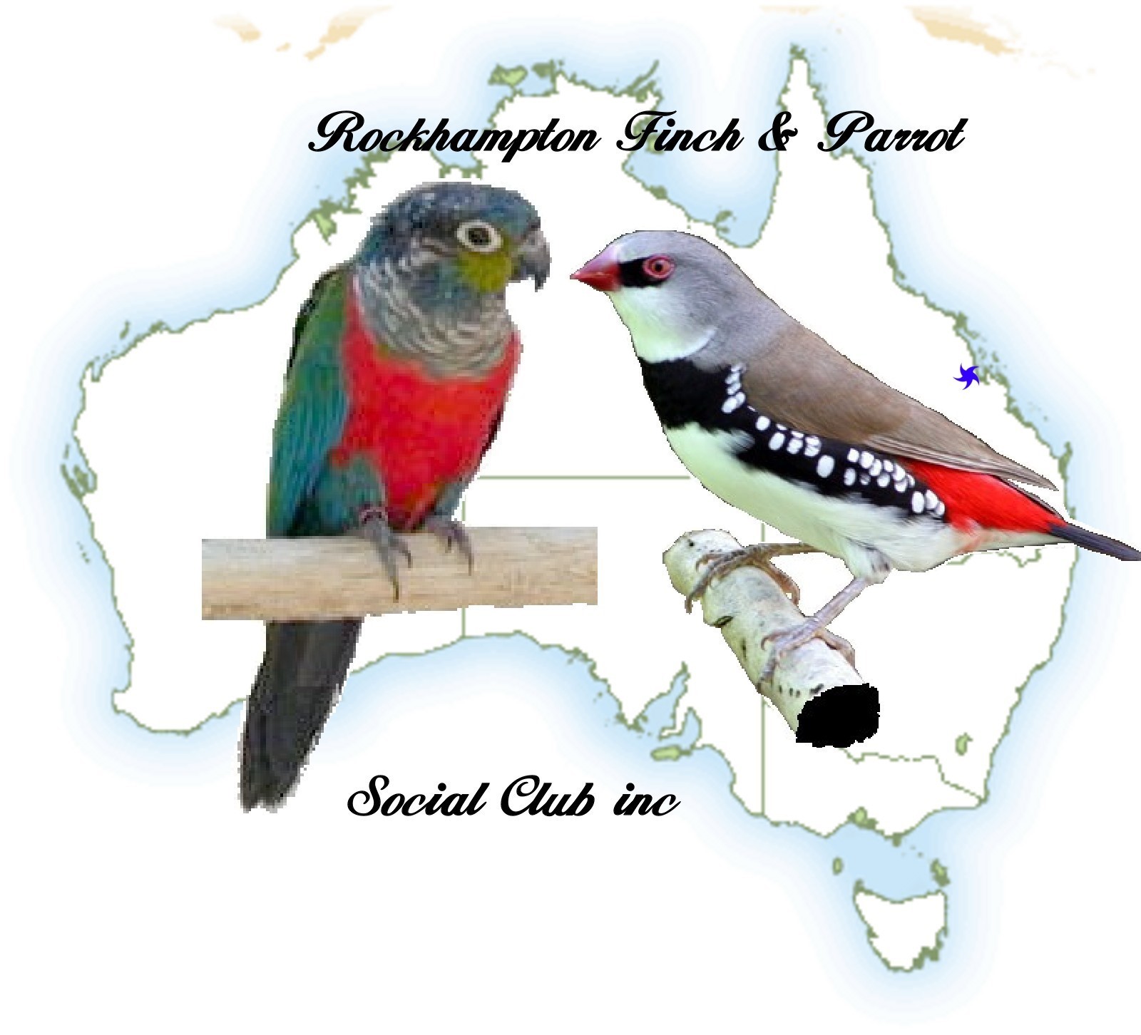 Rockhampton Finch and Parrot Social Club Inc.